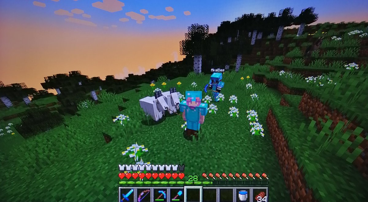 seabunny_7's tweet image. Minecraft ⛏️ ── ⋆ semana 4

Estos días fueron de exploración, dungeons y de conseguir mascotas en el #CSMP La verdad es que han sido de mis dias favoritos en el server 🩷