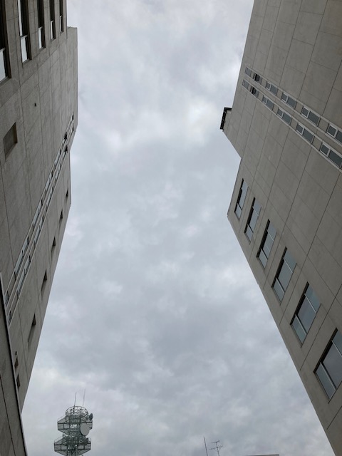 pcnetNPOpiko's tweet photo. おはようございますニャ😺
今日の札幌はくもり☁️
A型事業所 #コミット 最近の作業は、請求書のデータ入力、動画やHP制作、ヤフオクでCPUなどの販売です
お仕事は色々あるので皆さんそれぞれ得意分野で頑張ってます🙌
本日もよろしくお願いしますฅ(='ㅅ'=)ฅ
#相互フォロー #就労継続支援 #COMIT https://t.co/SMUEJmUozr