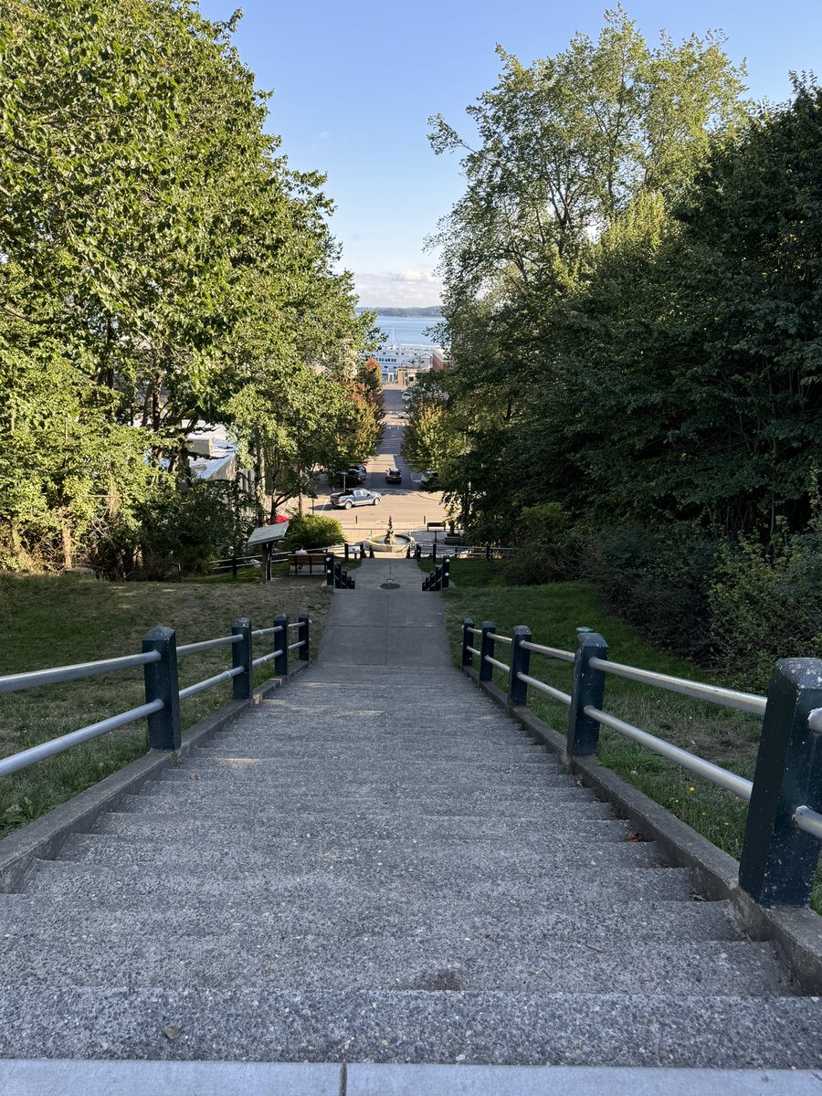 Travis Baldree tweet media