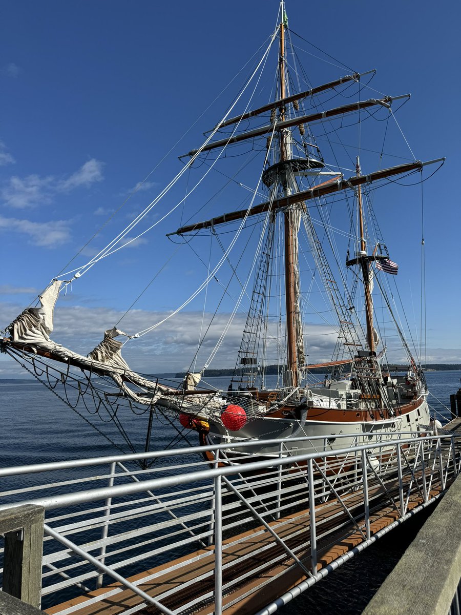 Travis Baldree tweet media