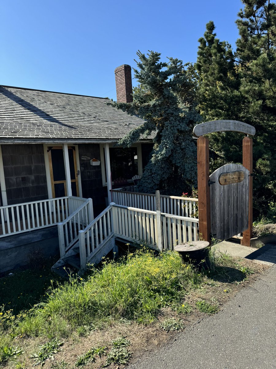 Travis Baldree tweet media