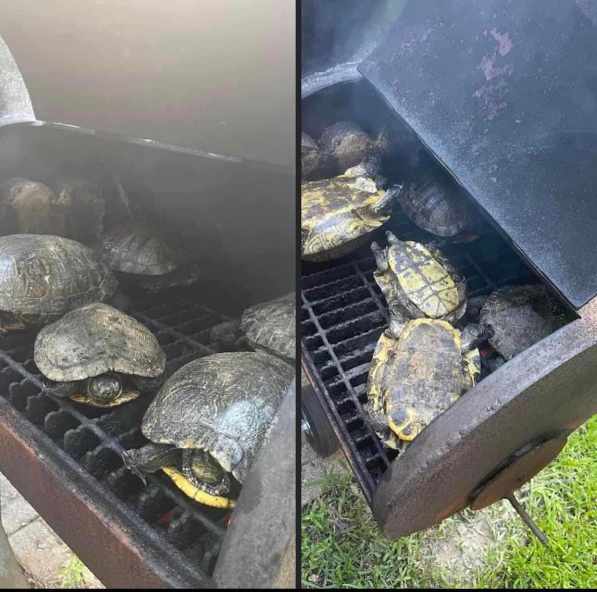 brando (daddy) tweet media