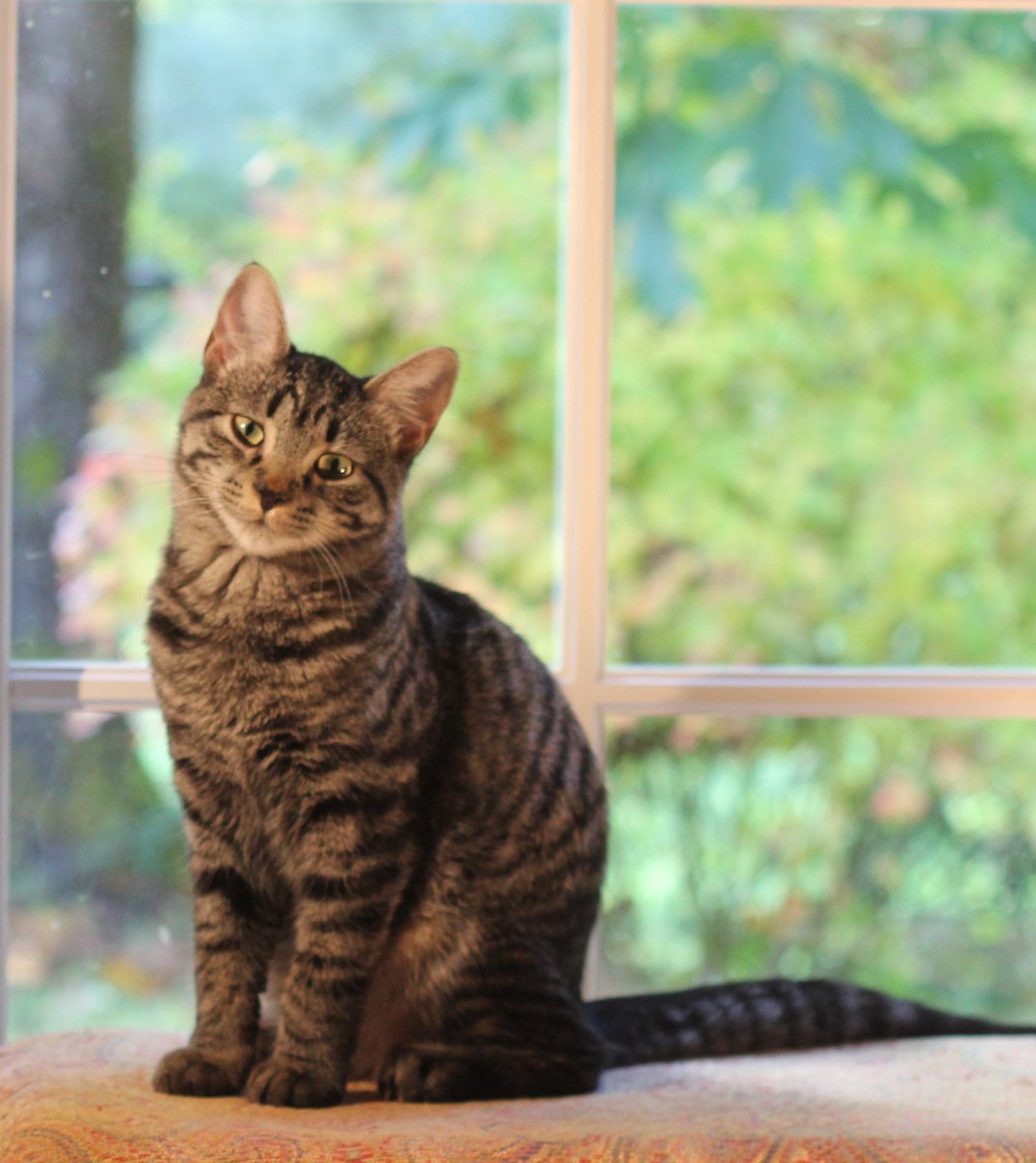 MinnieTheGood's tweet image. #ThrowbackThursday