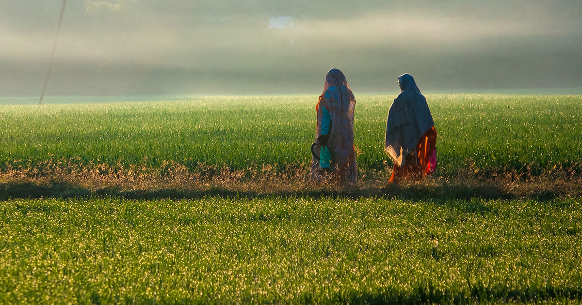 WINGS (@wings_info) on Twitter photo The <a href="/BridgespanGroup/">The Bridgespan Group</a> report highlights how #ClimateChange is severely impacting farmers in India. Learn about 6 bold opportunities for #philanthropy & impact investors to enhance resilience in agrarian communities. Download it 👉: ow.ly/4gIR50TiJ0o
#PhilanthropyForClimate The <a href="/BridgespanGroup/">The Bridgespan Group</a> report highlights how #ClimateChange is severely impacting farmers in India. Learn about 6 bold opportunities for #philanthropy & impact investors to enhance resilience in agrarian communities. Download it 👉: ow.ly/4gIR50TiJ0o
#PhilanthropyForClimate