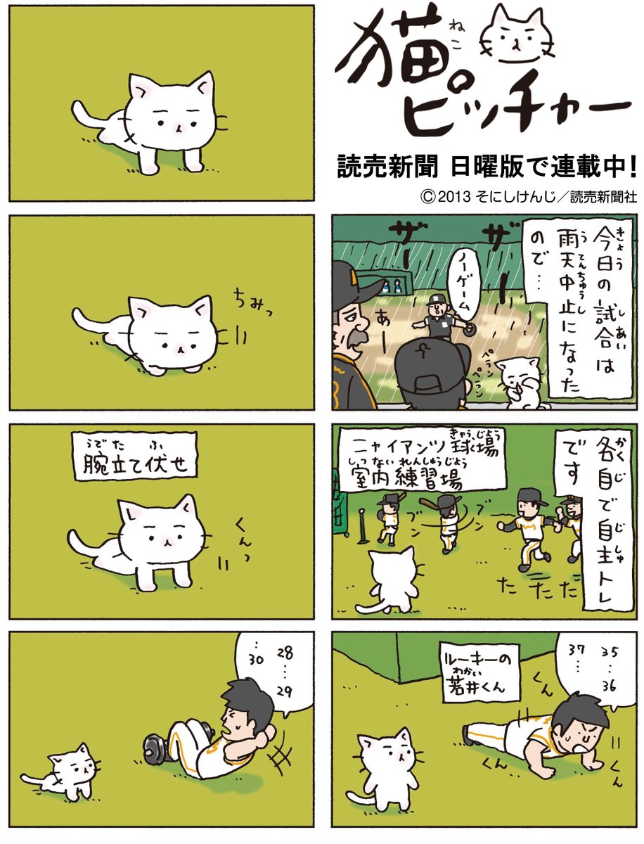 猫ピッチャー　1～18巻　全巻 新品 / 猫ピッチャー (1-18巻 最新刊) 全巻セット : 漫画全巻ドット