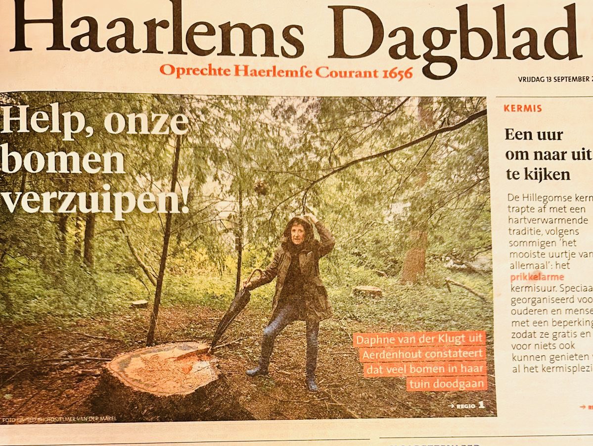 HartBloemendaal's tweet image. Help! Onze #bomen verzuipen. Een noodkreet. Hoge #grondwaterstand zorgt voor sterfte onder honderden bomen in Bloemendaal. Zet de pompen aan! Maar #PWN doet niets en #D66 wethouder en #VVD zijn niet van plan ook maar iets te doen. #Bomensterfte @telegraaf @RTLnieuws @volkskrant