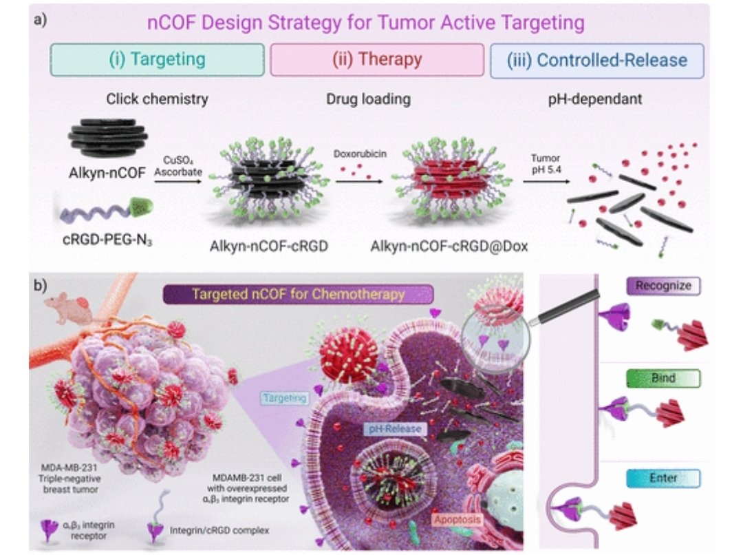 ali trabolsi tweet media