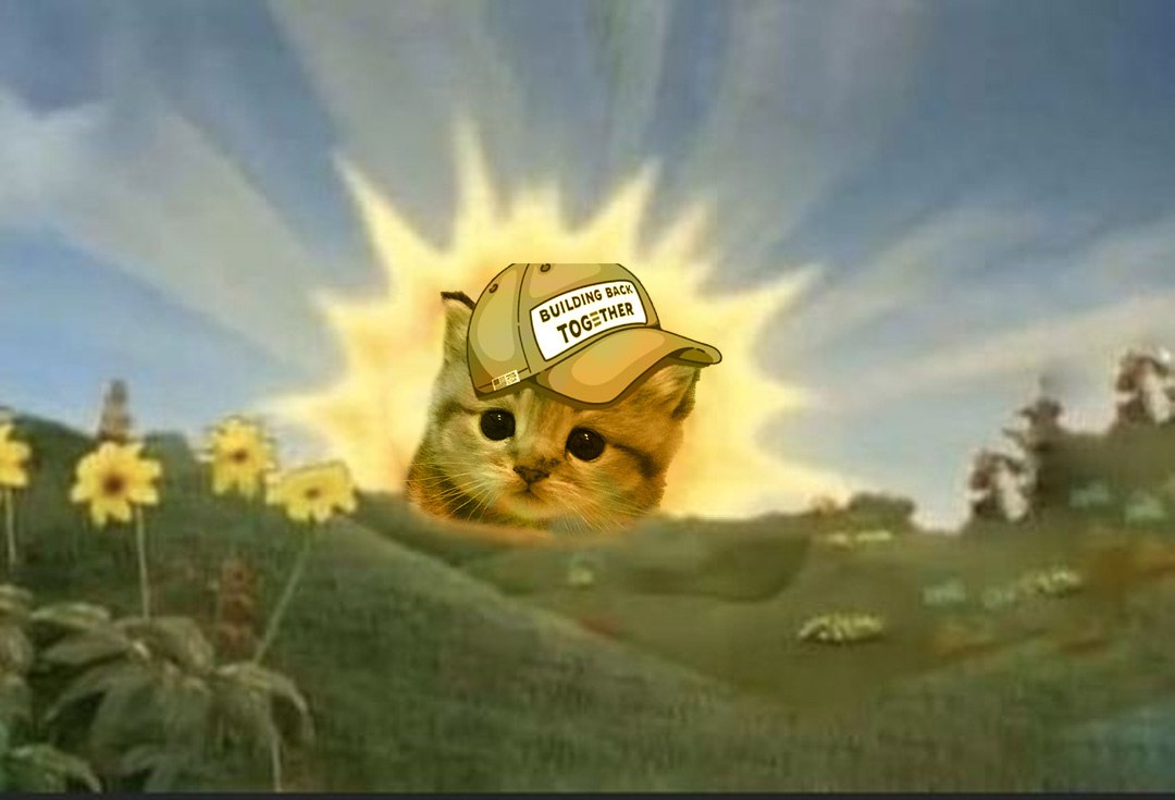 CAPTOSAPT's tweet image. gud meowning~