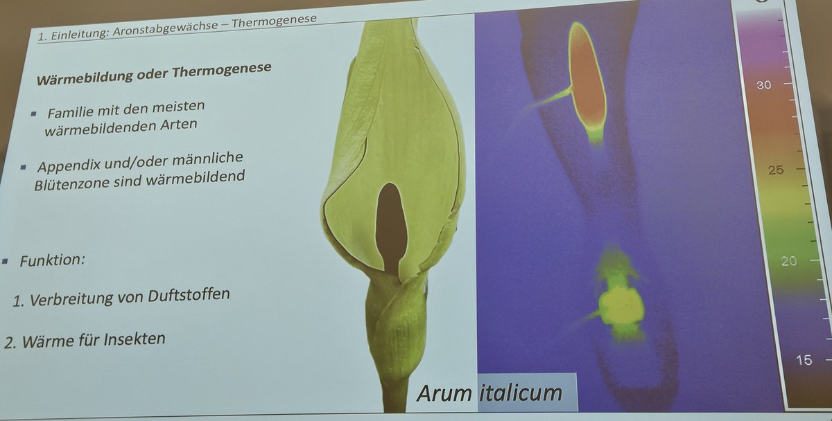 Christopher Grefen tweet media