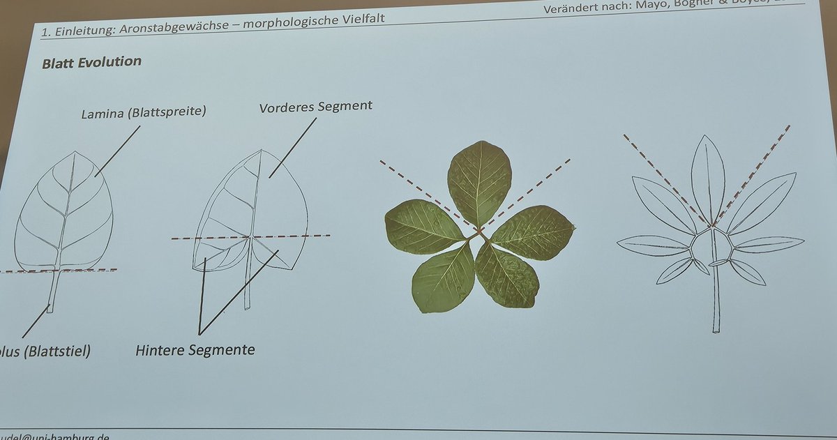 Christopher Grefen tweet media
