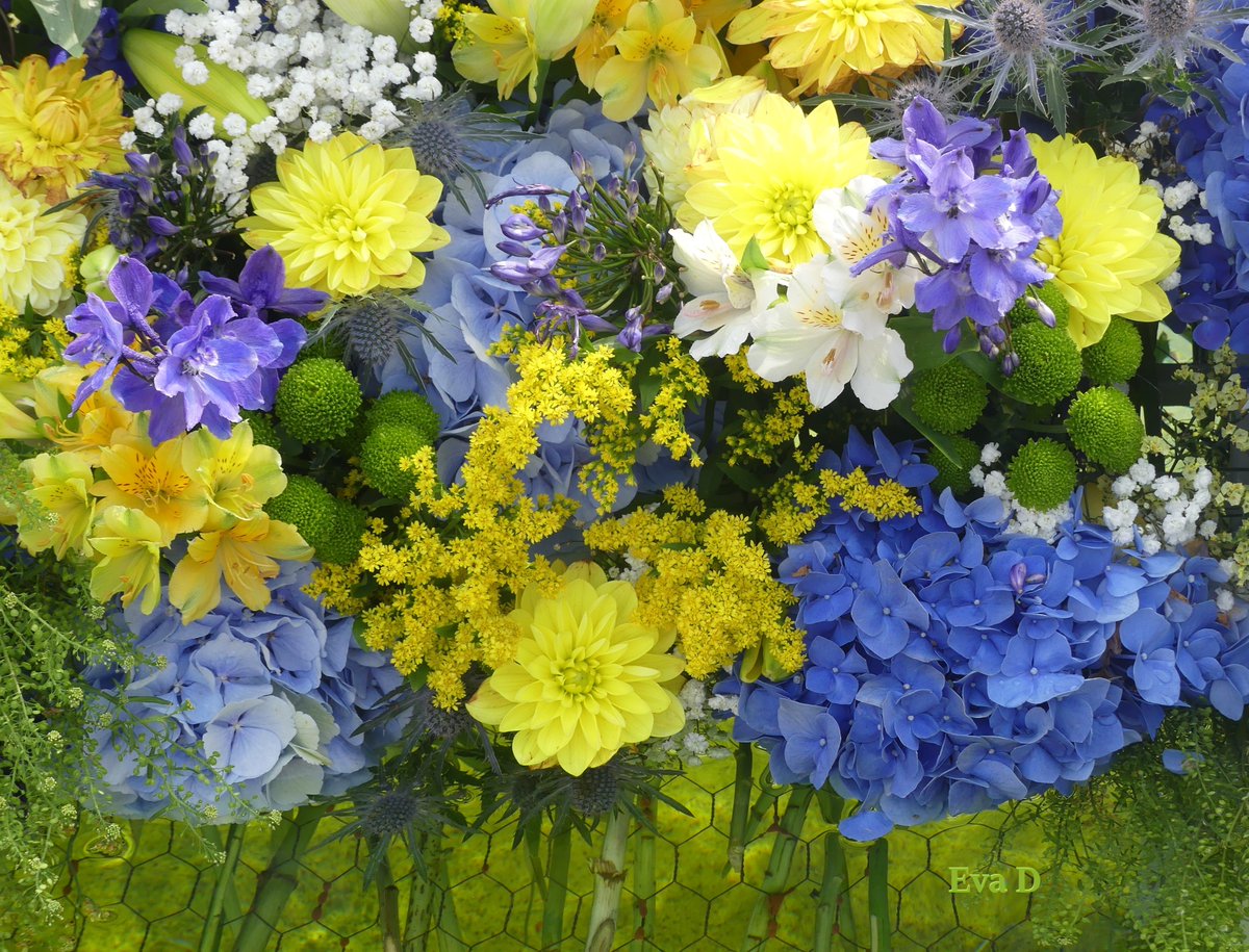 EdaFaktor's tweet photo. #Olomouc #Hornínáměstí #summer #flowers

📷 11.9.2024, Olomouc, Horní náměstí, Arionova kašna https://t.co/H2D1n1b1KA