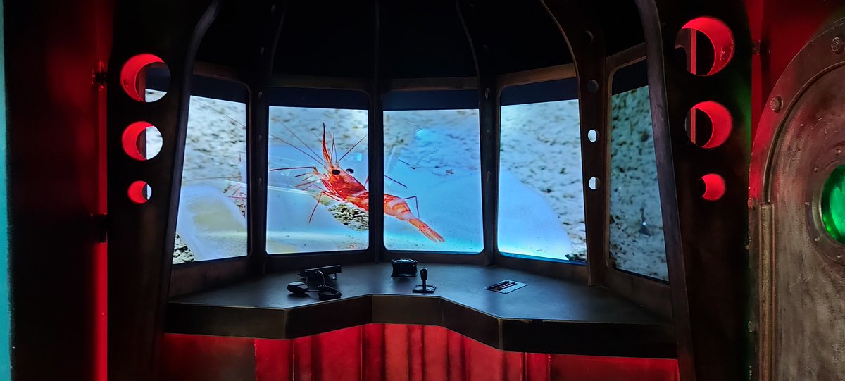 Marine Institute tweet media