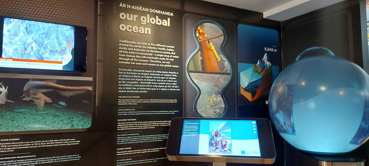 Marine Institute tweet media