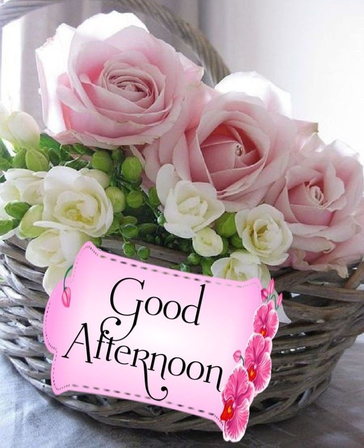 sofiawritten's tweet image. Asslamoalikum 
Jummah Mubarak 
دوپہر بخیر 💐