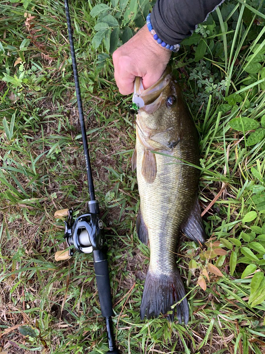 AvinchuKatsu's tweet photo. 9月初、本日の朝練🎣

釣行予定日に台風や自身の体調不良等で釣りに行けず約3週間振りの待望の朝練でした(笑)

今季2本目のランカーバスを含む合計3本で、気分が良いところでリハビリ釣行を終了😁

#DAIWA
#TATULA_XT
#TATULA_SV_TW
#OSP
#CO_BUZZN
#カナブン
#一誠
#AKpunch
#Fishing_Team_BIG_MOUTH https://t.co/WnnOufhKky