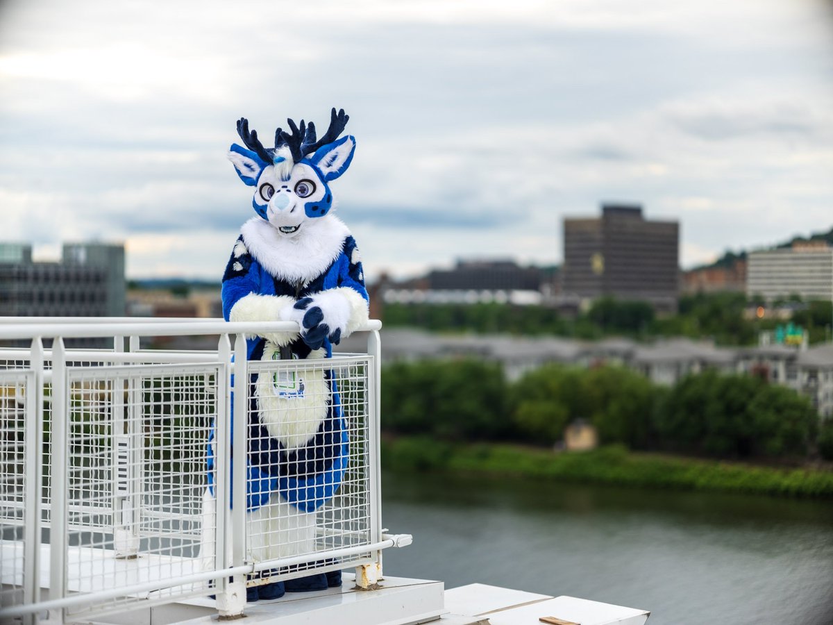 Look at this view :D
Happy #FursuitsFriday 
📸: <a href="/CaptainChaotika/">🌻 混沌的隊長 ➡️ AFC</a> 
👕: <a href="/factory_wolf/">🌓🐺 Wolf Factory 🐺🌗</a>