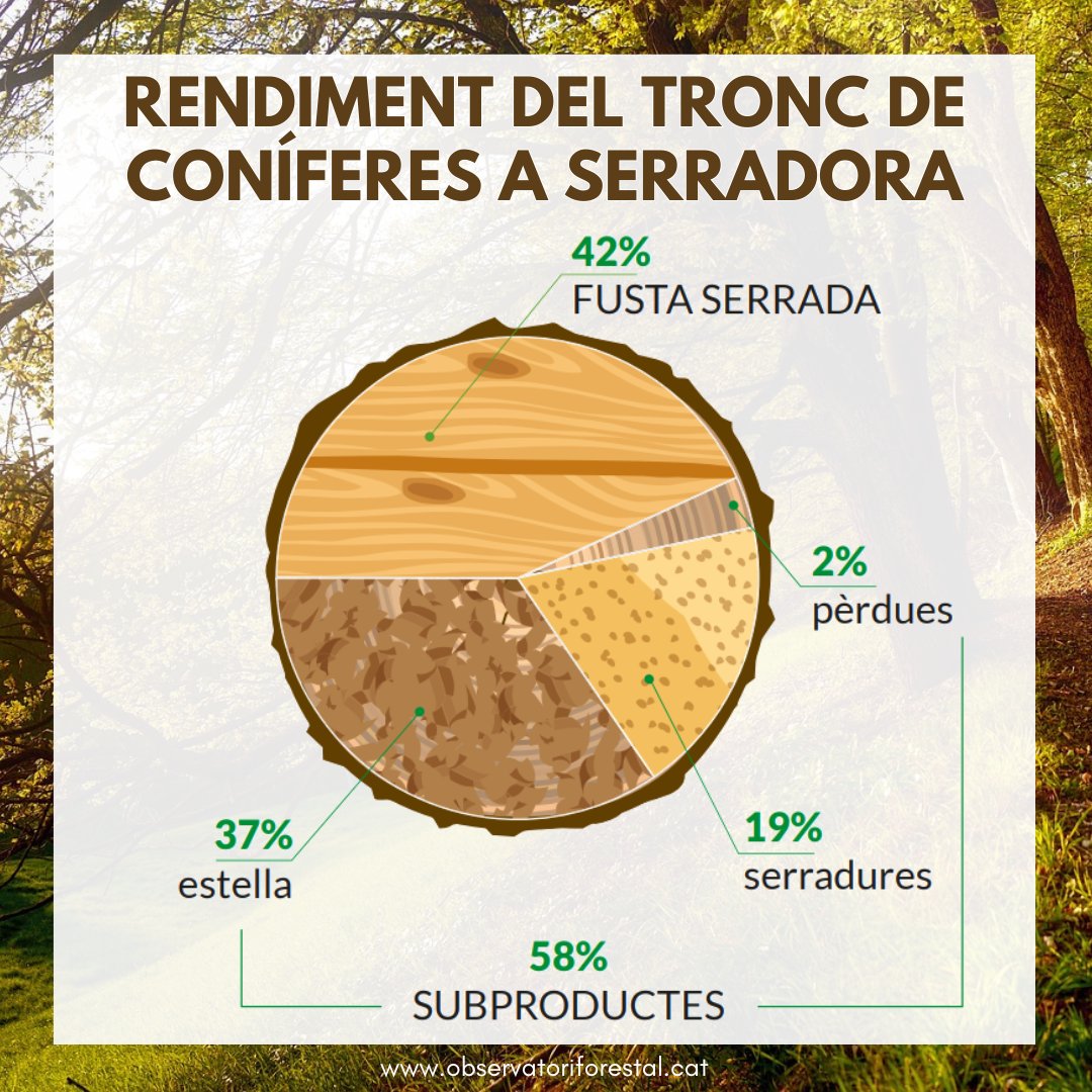 Publiquem nova infografia a l'Observatori Forestal Català, "Rendiment del tronc de coníferes a serradora"