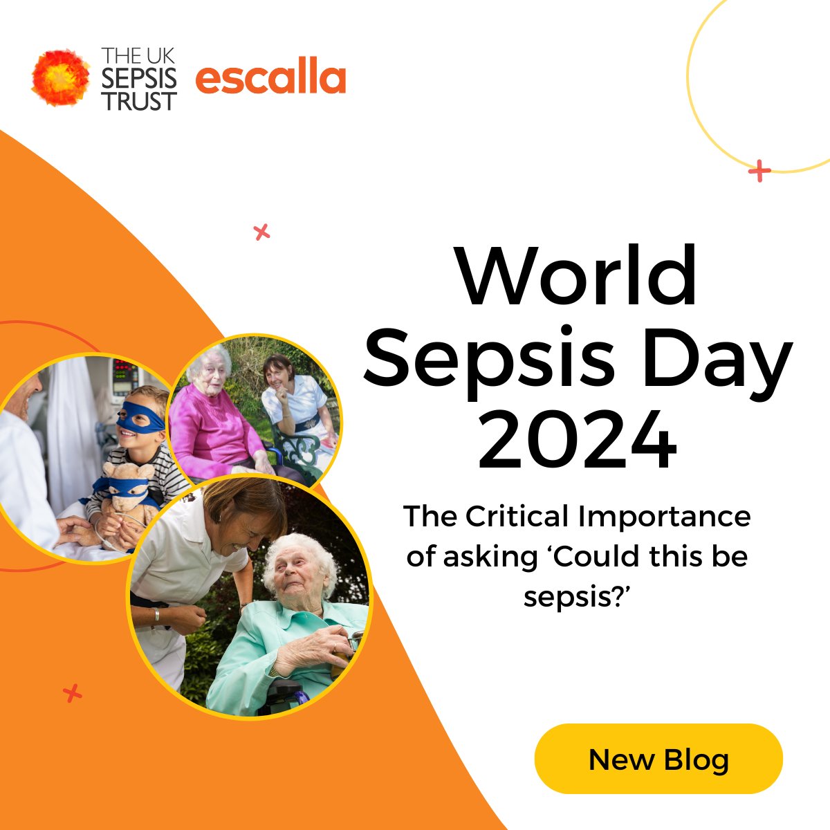 escallaTraining's tweet image. Today is World Sepsis Day 2024. To mark it, we’re sharing some of our personal stories, hoping to raise awareness and highlight the critical importance of recognising the early signs of sepsis.
Read more here: escalla.co.uk/world-sepsis-d…
#WSD2024 #SepsisAwarenessMonth #sepsis