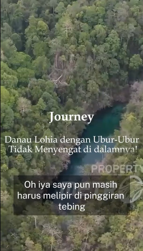 Metro_TV's tweet photo. Menikmati keajaiban Danau Lohia 🌊, tempat ubur-ubur tak menyengat berenang bebas!
Saksikan #Journey episode “Danau - Danau Eksotis di Indonesia” hanya di YouTube channel #MetroTV
LINK: https://t.co/MAnehA60BY
#Journeymetrotv #Danau #Eksotis #Indonesia https://t.co/kI6cu9iznu