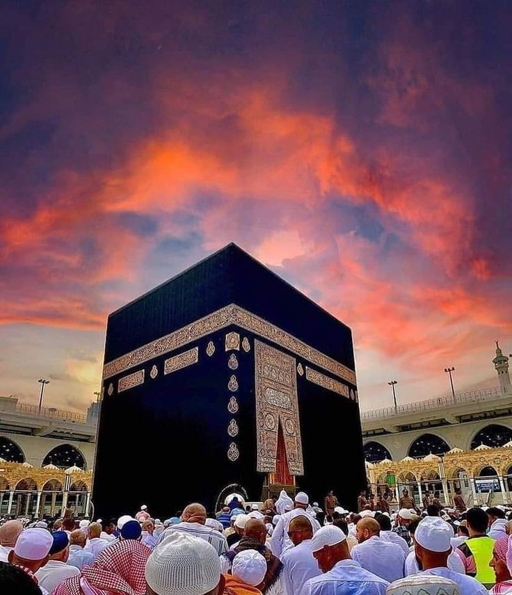 Yamaan Shahid 𝕩 tweet media