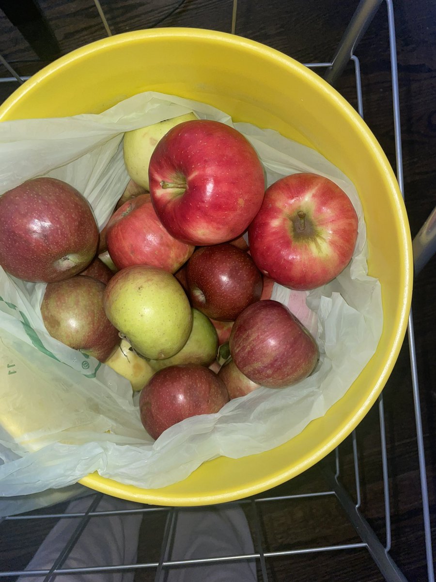 JusticePlummer's tweet image. Many, many, apples later, the mission wasn’t impossible 😄😄…Made Apple Fritters, Apple Bread, Apple Cider, Apple Pie, and Applesauce 🍎🍎🍎 So ready for my birthday season 🥹👏🏽🙌🏽 #apples #fall #prefall #octoberbabies #homemade #manymanyappleslater