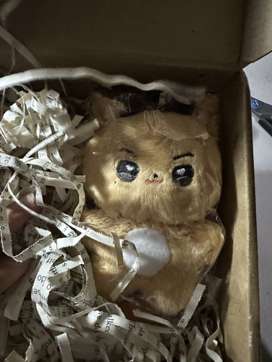 Assorted TXT unsealed albums &amp; Tubatu Yeonjun Doll

- Complete Inclusions except for random photocard
- Good condition.
- Yeonjun Doll is sealed

Set for 2K

wts lfb txt unsealed albums doll yeonjun soobin taehyun heuning kai beomgyu ph