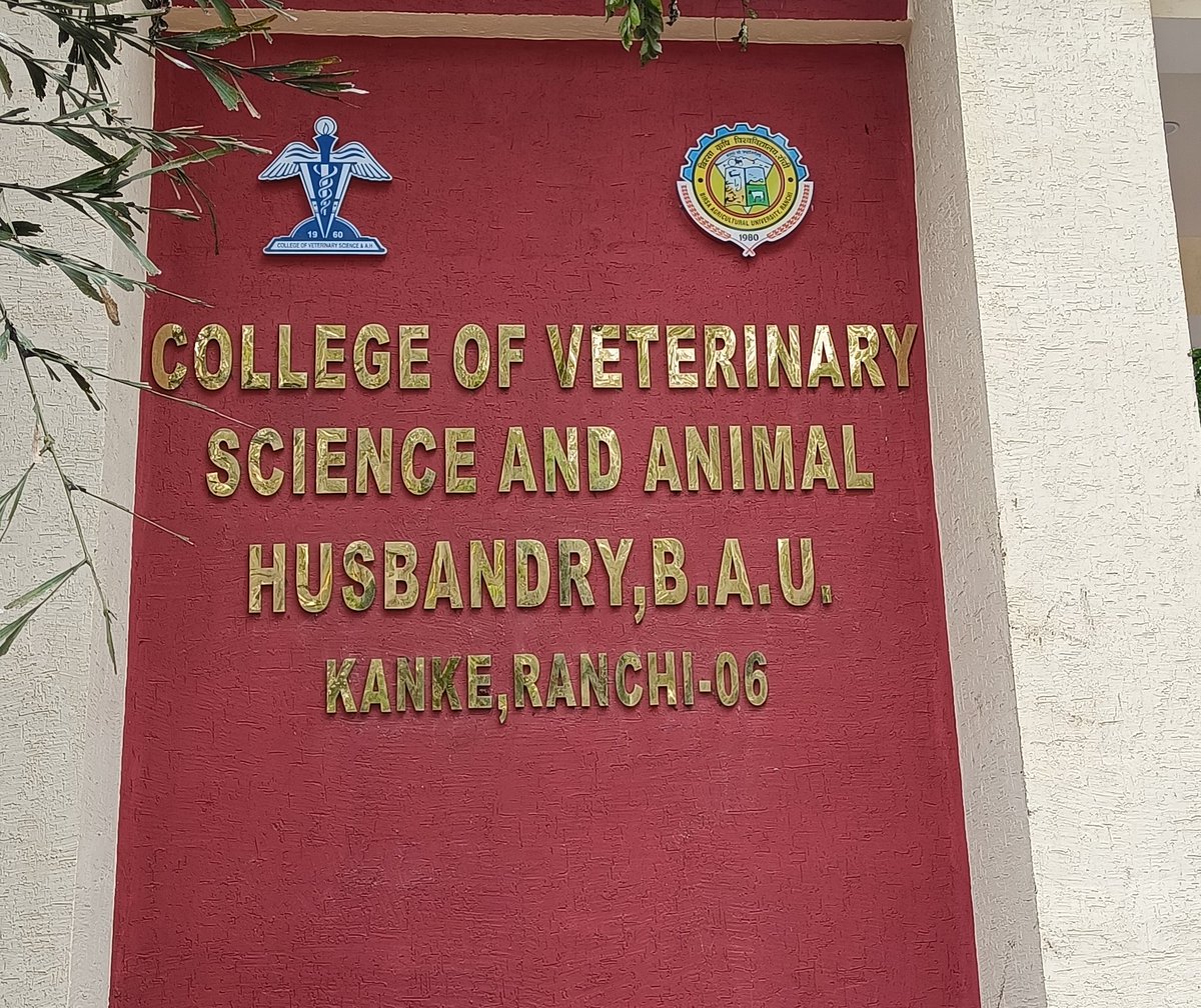 sashikant00's tweet photo. DAY 4 of peaceful strike ( by the Students of Ranchi Veterinary College, Kanke.) 
Our demand - raise the stipend of internship from 50rs per day to 15000 per month, equivalent to the other veterinary and medical colleges in the neighbouring states. https://t.co/DQahAlwIuM