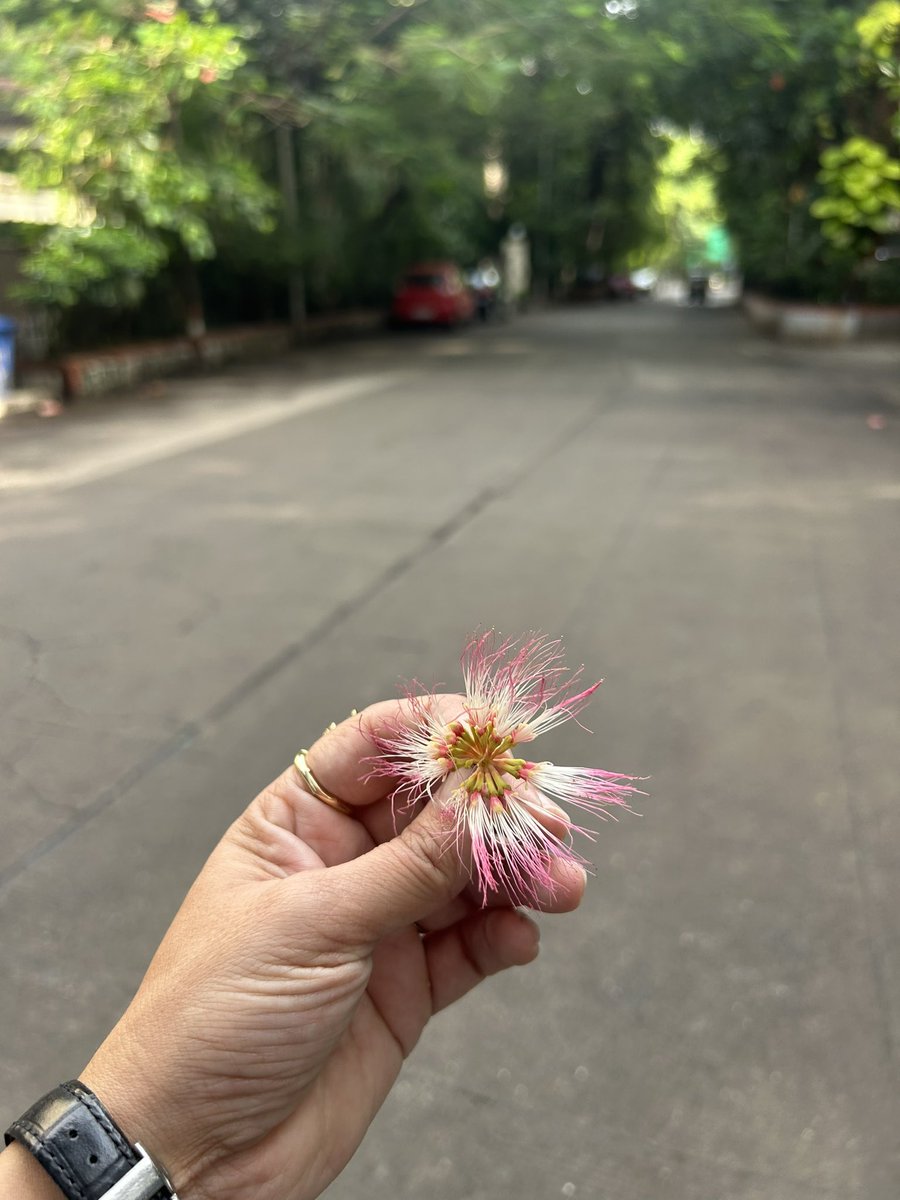 RujutaDiwekar's tweet photo. Don’t count your steps, count your blessings. Because what else is walking, if not a blessing? https://t.co/1jkoXcE0S7