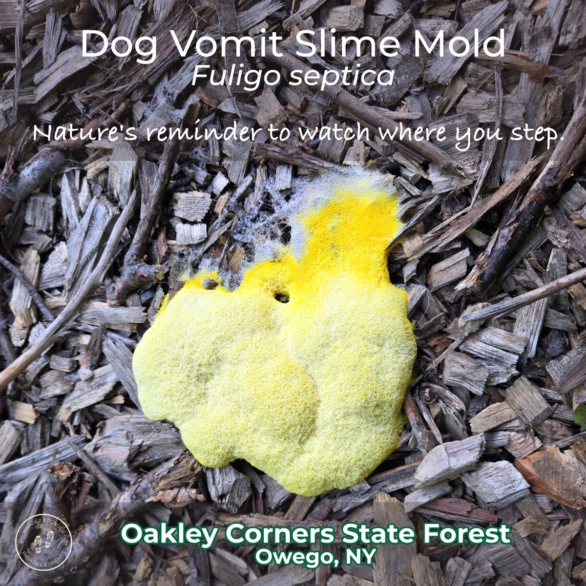 Bill Bitner tweet media