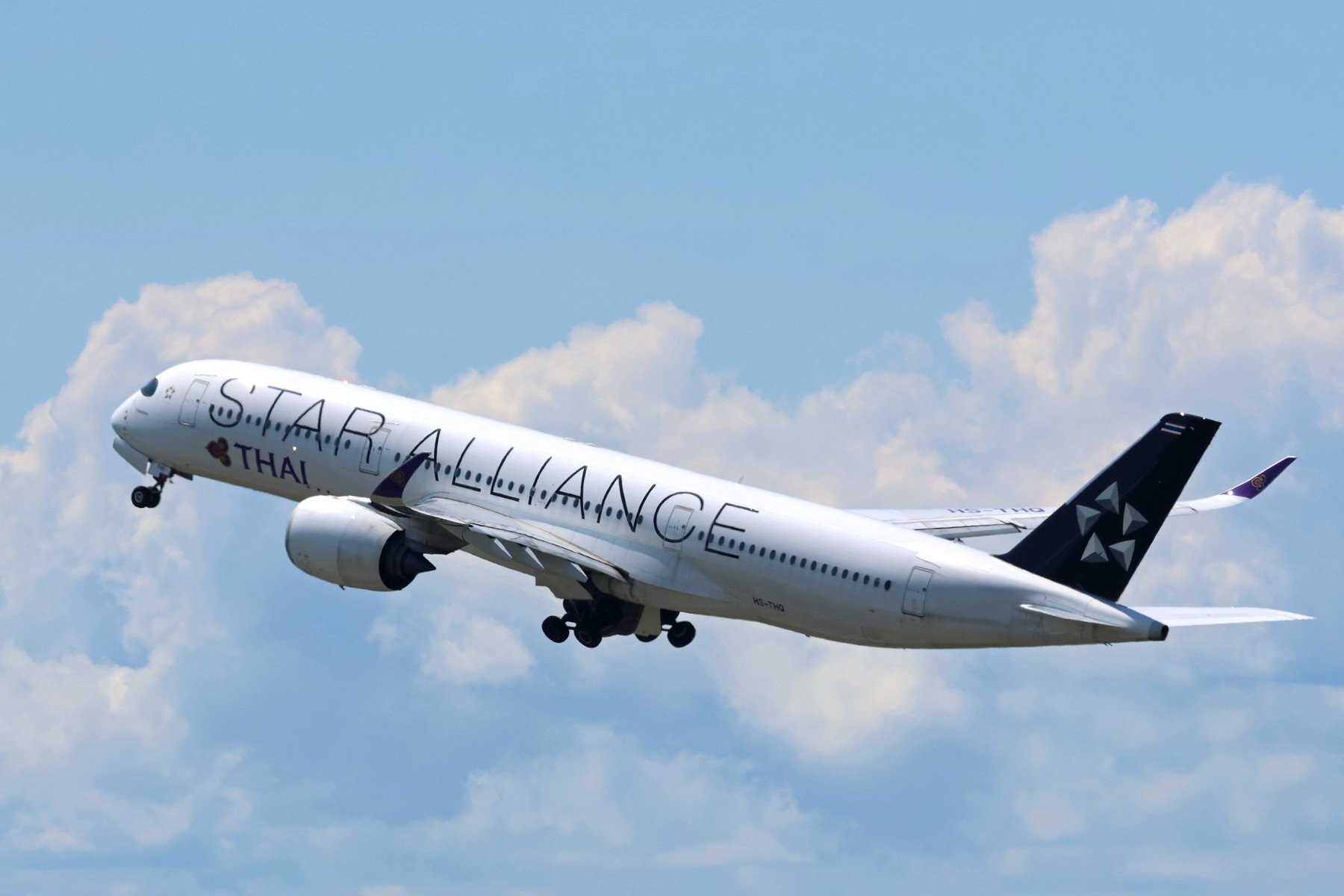 ANA Boeing 737-800 1:500 スターアライアンス