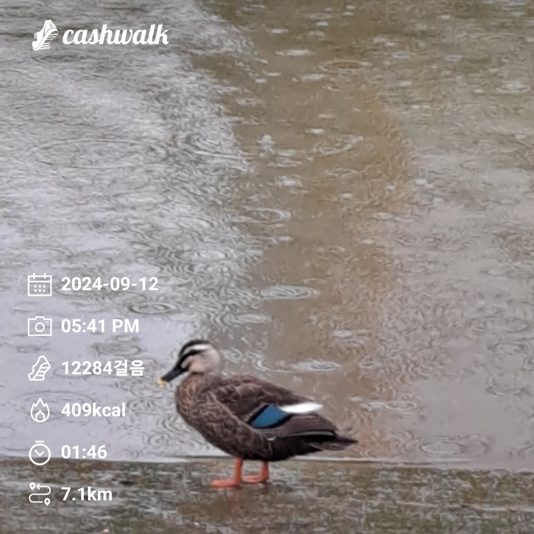 seethrough1b's tweet image. #bugcity
#bugpoly
#gm
@Bug4city
2024년  12,000보