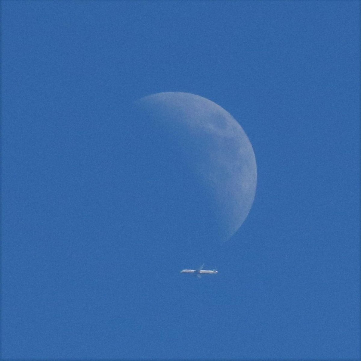 elguerolanchero's tweet image. #moon 🌙 #plane ✈️ #outspace More these from the archives…