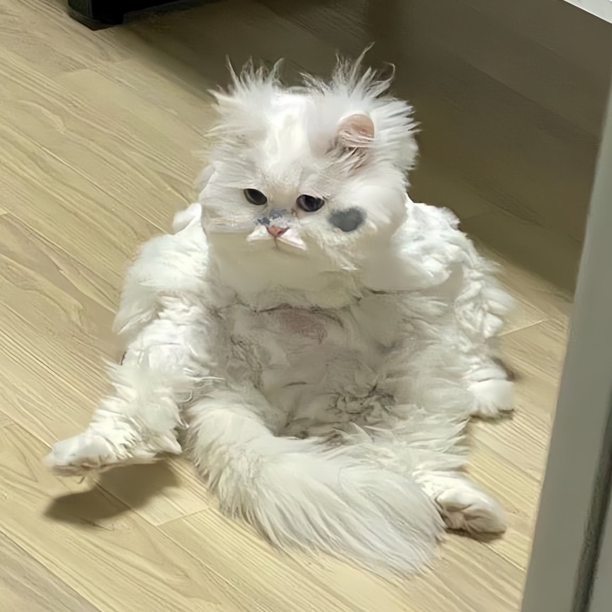 ไม่ได้มอม
