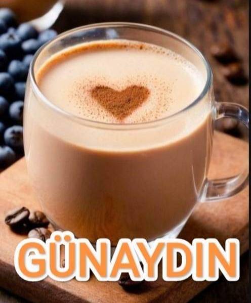 şahin toptimur tweet media