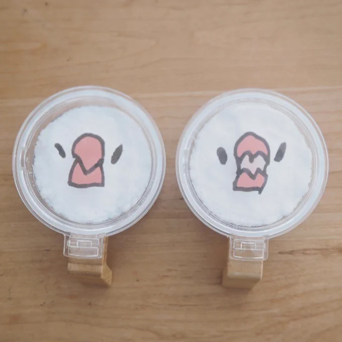 ことりカフェさんとのコラボでパウダーポットができました。インテリアになじむナチュラルな素材の持ち手がかわいいです。怒ってる方を塩、甘えてる方を砂糖と使い分けてもいいかも( ⁰⊖⁰)〜10/29浦和文鳥市、9/14 15鳥フェス浜松、9/18〜11/4お江戸文鳥博、9/25〜10/1なら文鳥博などで販売します。 