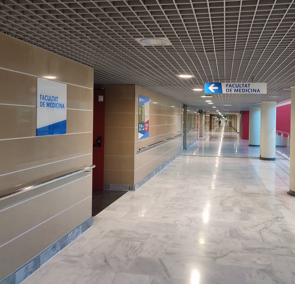 Xavier Rosselló (@rosselloxavier) on Twitter photo 🧑🎓 Exciting week <a href="/fmedicinauib/">FMedicinaUIB</a>!
🧑🏫🧑🔬🧑⚕️ Nice to be back to our academic life: teaching, researching and practicing medicine!
📚👣🩺 After a long summer, the focus is back on our students, young researchers, and patients. 🎯 🧑🎓 Exciting week <a href="/fmedicinauib/">FMedicinaUIB</a>!
🧑🏫🧑🔬🧑⚕️ Nice to be back to our academic life: teaching, researching and practicing medicine!
📚👣🩺 After a long summer, the focus is back on our students, young researchers, and patients. 🎯