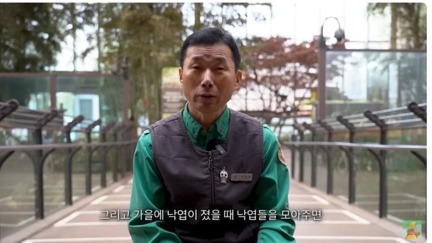 hi_furuhu's tweet photo. 푸바오가 낙엽들고 있는 사진에 눈물남... 할부지가 이렇게 찝어서 말해줬는데ㅠㅠ푸야가 손에 쥔거 보니까 눈물나ㅜㅜ https://t.co/0AqKaGSKBa