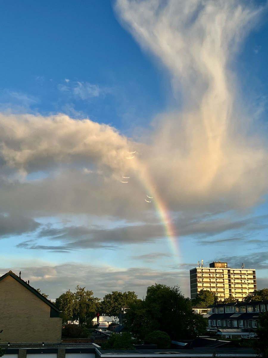 Rob Sluijter tweet media