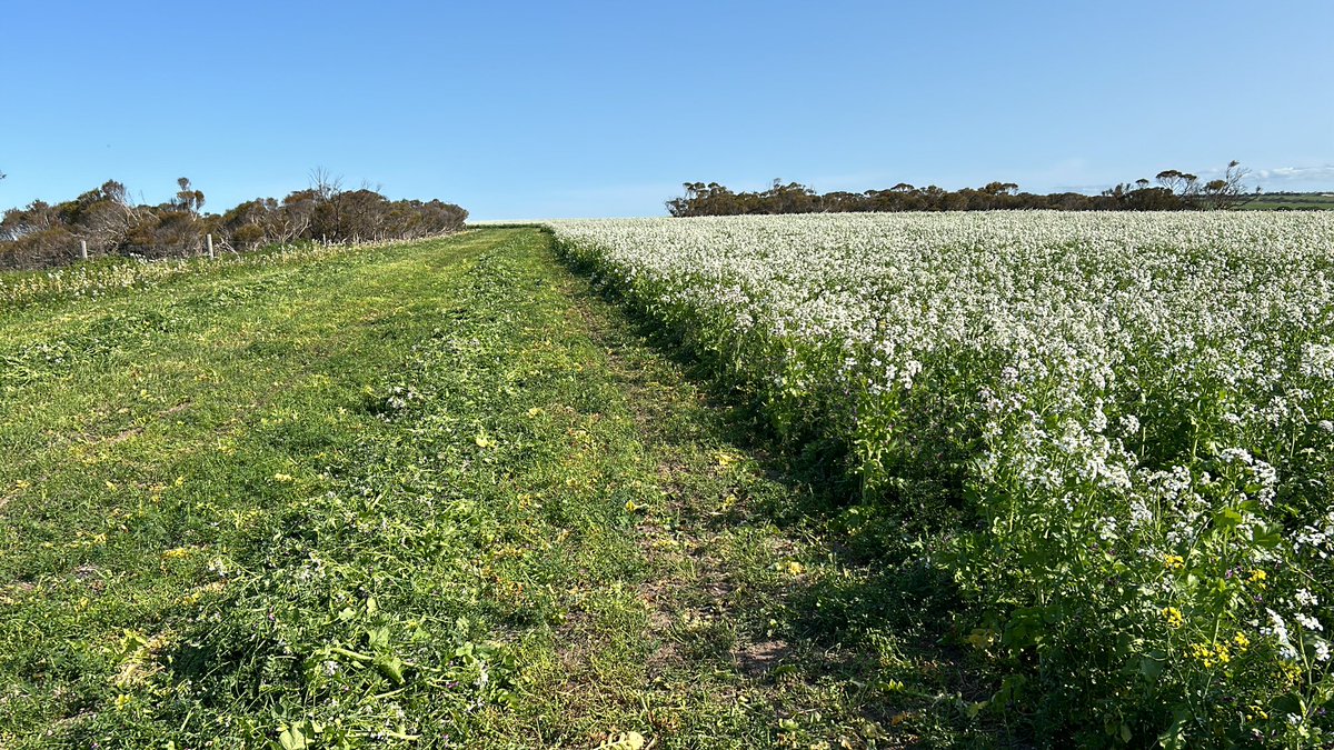 Well I’m doing my best to make it rain 🤞🏼