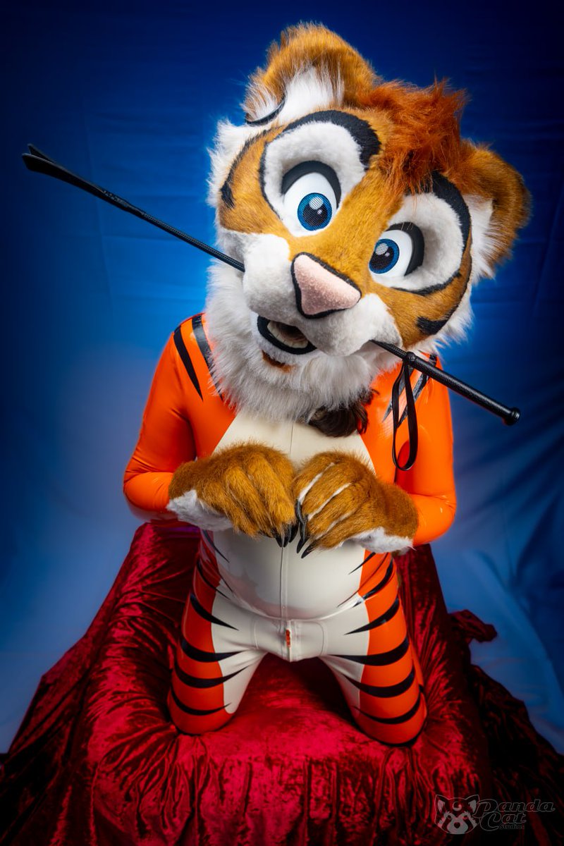 Lee Taiger tweet media