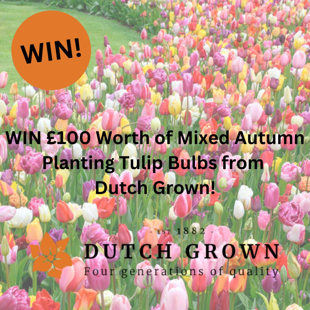 allotmentonline's tweet image. 🌷WINNER ANNOUNCED!🌷

Thank you to all those who entered and to @HollandBulbs for this lovely prize…

Who won? find out on the link: allotmentonline.co.uk/competitions

Look out for more great competition news later!

#win #competition #fridaywins #autumnbulbs #tulipbulbs