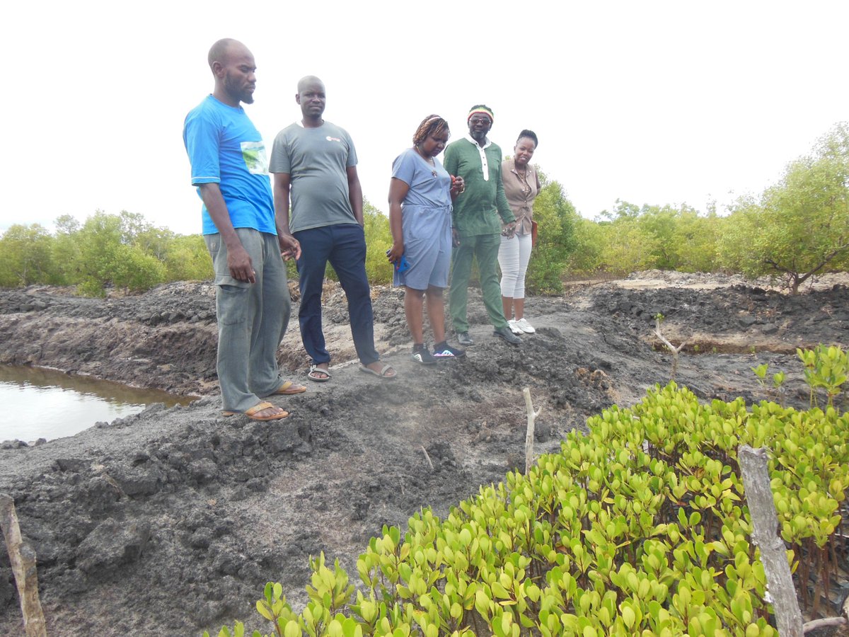kirdi_kenya's tweet image. Our teams are mapping value chains in Samburu, Baringo, &amp;amp; Kwale counties, focusing on livestock, fishing, bee-keeping, cassava, poultry, dairy, coffee, &amp;amp; leather industries. This project is funded by KIEP through  @MITIKenya, with support from @WorldBankKenya. #ValueChainMapping