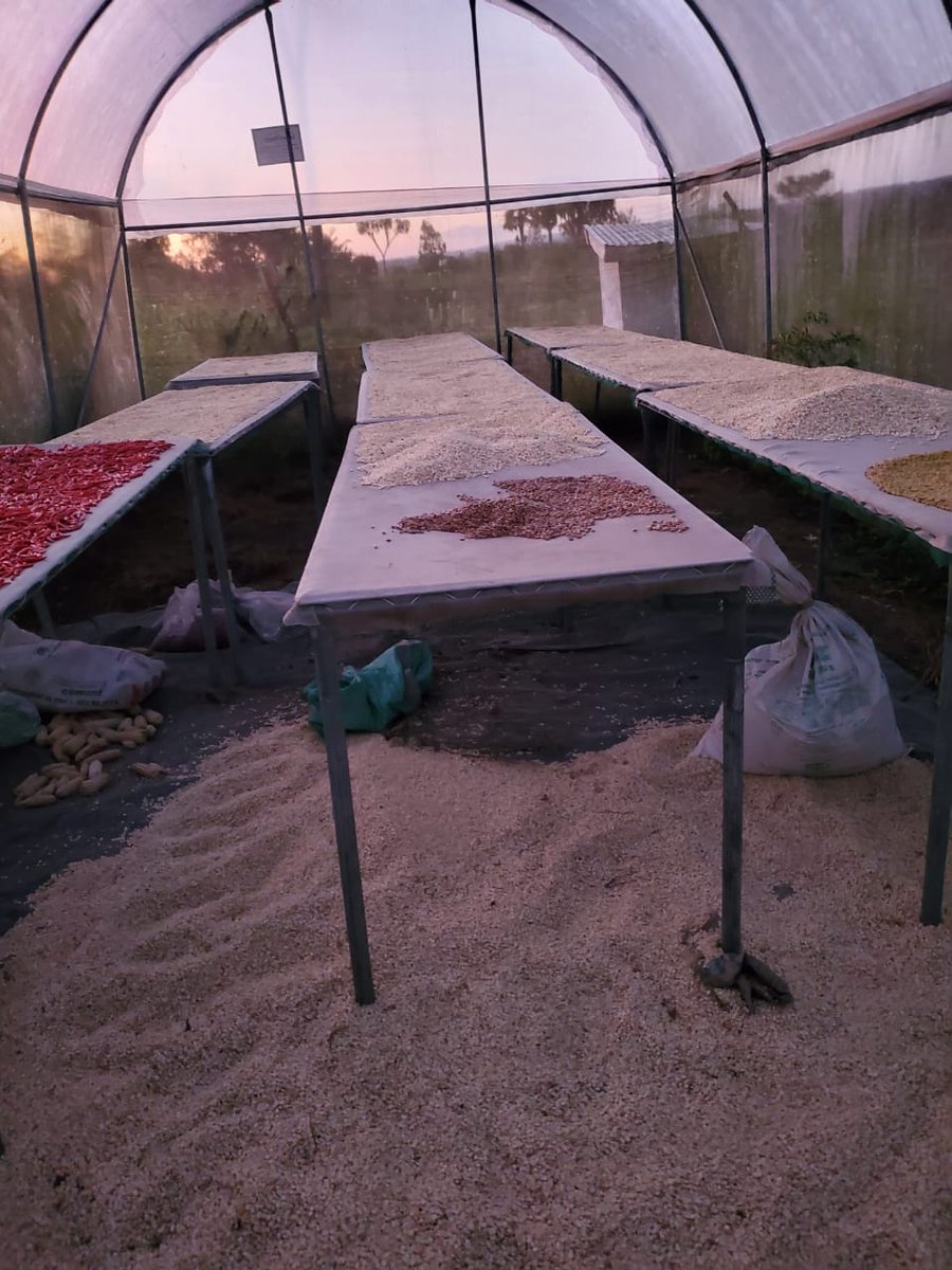 kirdi_kenya's tweet image. Our teams are mapping value chains in Samburu, Baringo, &amp;amp; Kwale counties, focusing on livestock, fishing, bee-keeping, cassava, poultry, dairy, coffee, &amp;amp; leather industries. This project is funded by KIEP through  @MITIKenya, with support from @WorldBankKenya. #ValueChainMapping