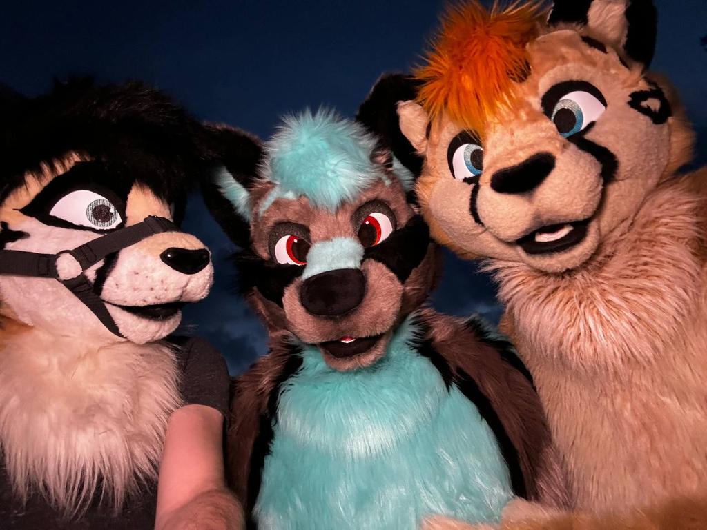 Katyro 🦊🔜 NFC 🔜 FWA (@katyrofox) on Twitter photo Two cute kittens and a fox wish you a happy #FursuitFriday.
Met at the <a href="/tfi_con/">Tropical Furry Islands</a>.
Have a nice weekend.
🐆 - <a href="/littlecheetah_/">Litchee</a>
🐆 - <a href="/Tristankitty/">Impawsible spots</a>
✂️ - <a href="/FursuitsByLacy/">Fursuits By Lacy</a>
#furry #fursuit #tfi #tropicalislands Two cute kittens and a fox wish you a happy #FursuitFriday.
Met at the <a href="/tfi_con/">Tropical Furry Islands</a>.
Have a nice weekend.
🐆 - <a href="/littlecheetah_/">Litchee</a>
🐆 - <a href="/Tristankitty/">Impawsible spots</a>
✂️ - <a href="/FursuitsByLacy/">Fursuits By Lacy</a>
#furry #fursuit #tfi #tropicalislands