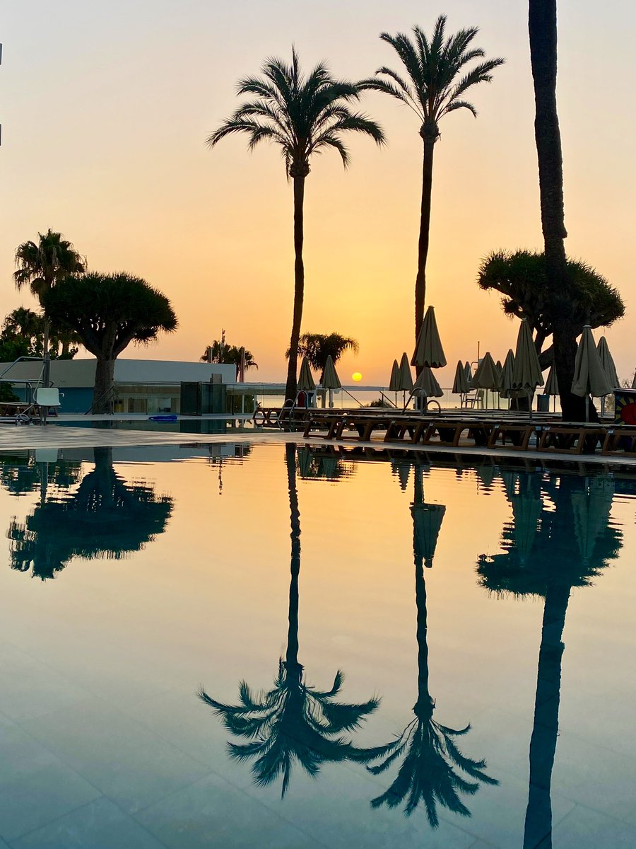 OceanHouseCostaDelSol tweet media