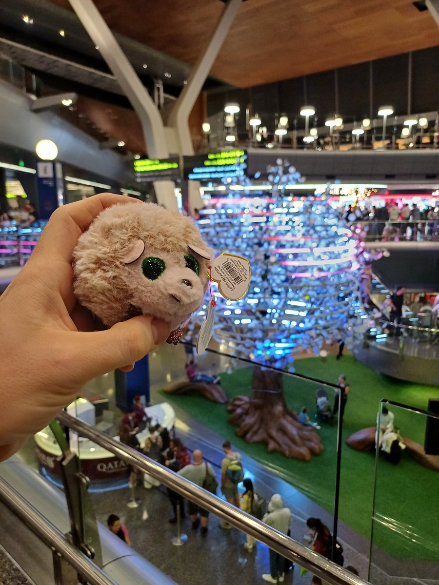 shgraphics's tweet photo. @ChrystonPrimary MH (P4b) and EH (P1a) sent their toys around the world with their dad. Hazel Hedgehog and Bingo visited Dublin, Qatar, Auckland, Dunedin, Shanghai, and London! https://t.co/jUaceSAAhs