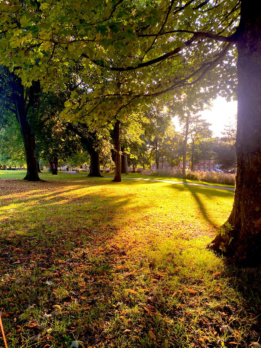 joymarie_h's tweet photo. #seasonchanging #AlmostAutumn #daysinseptember https://t.co/qd8s7ZxvWx