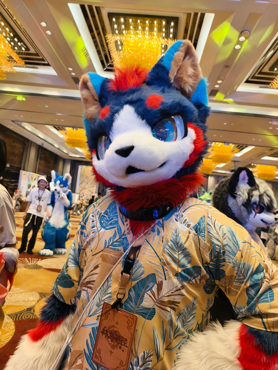 有事吗？  

没事就来看看可爱的织炎！ 

拍摄：@冰块猫太

#FursuitFriday