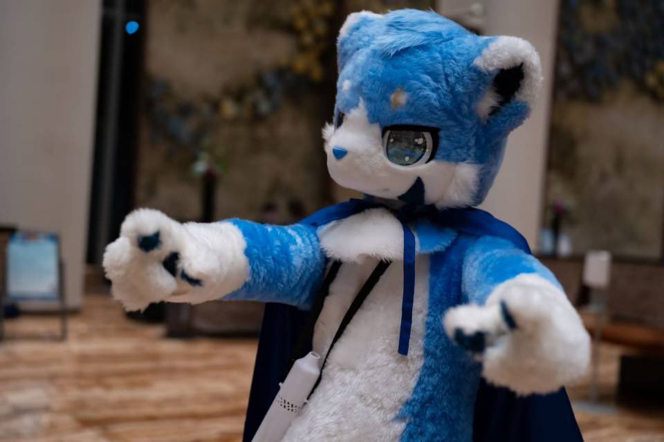 #FursuitFriday 
你別過來啊——

攝像：夏雨