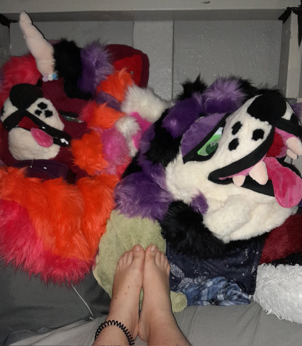 phoenixtoes's tweet photo. Just me nd my beans lmao

#furryartist #fursuitmaker #fursuit4sale #feet #toes #barefeet https://t.co/bN6hApEVyj